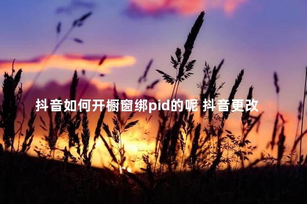 抖音如何开橱窗绑pid的呢 抖音更改pid